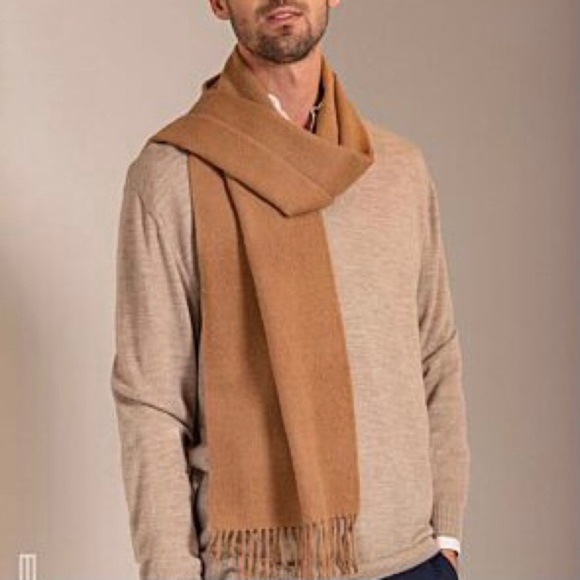 DIOR Authentic Pure 100% Wool Scarf Fringe Detail Hem NWOT Sunrise Academia - Picture 10 of 14